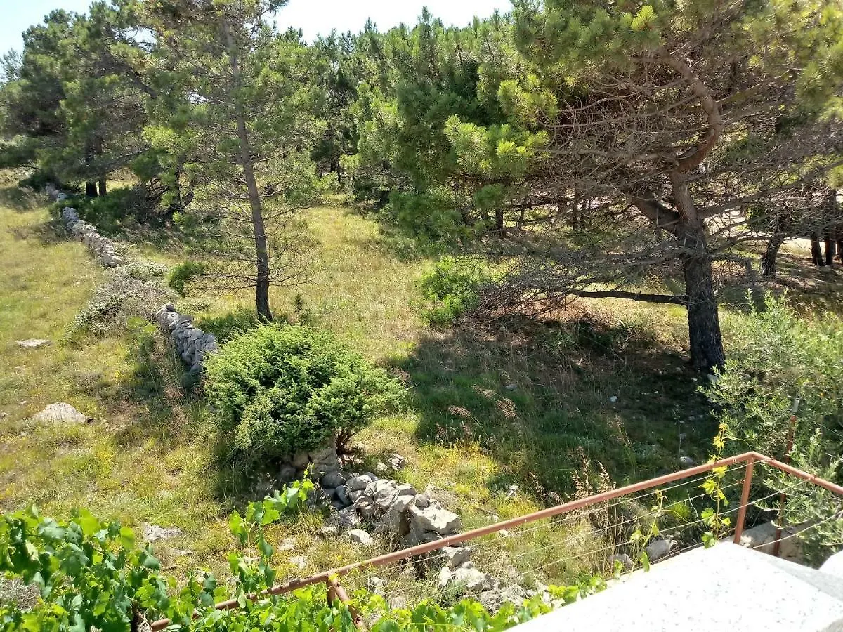 Apartment Galijot Vir